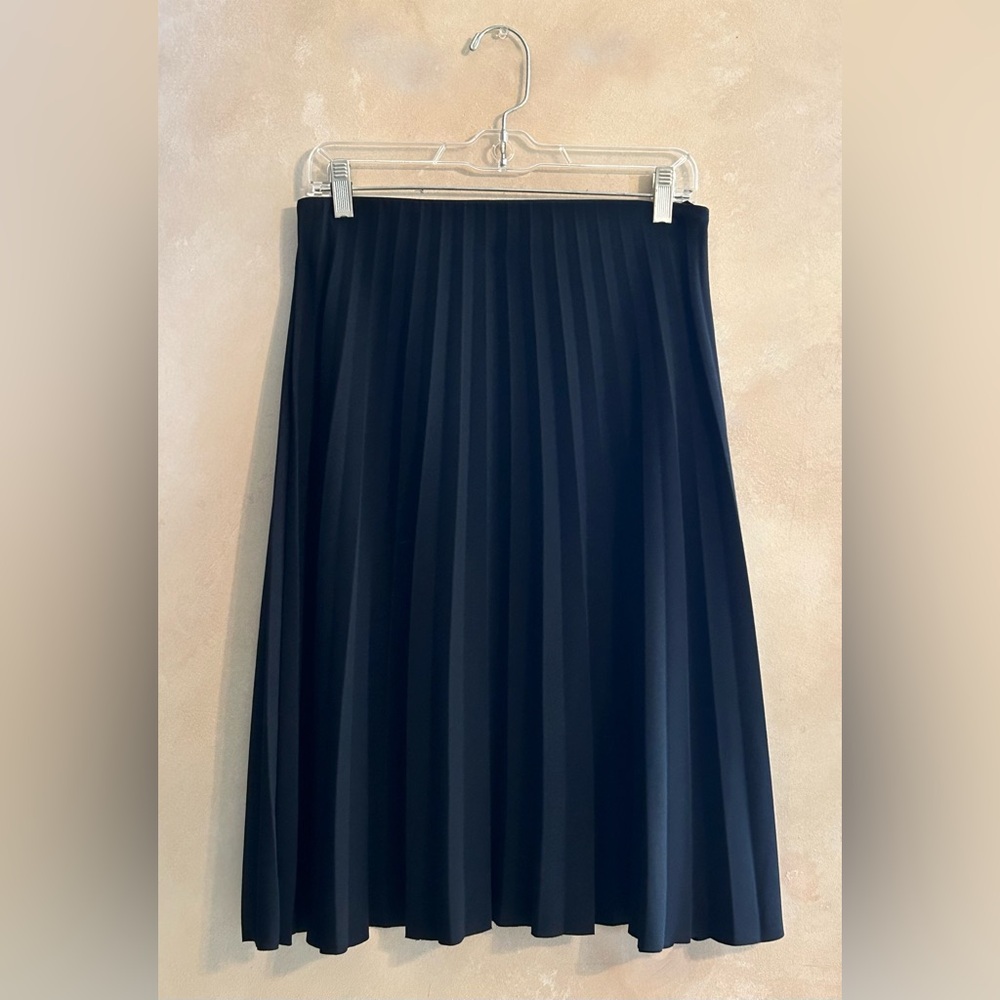 Everlane Black Midi A-Line Pleated Skirt